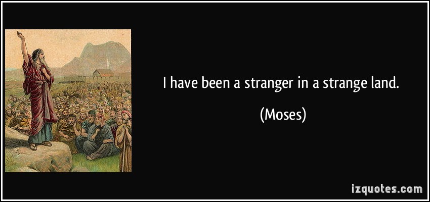 Strangers In A Strange Land Quotes